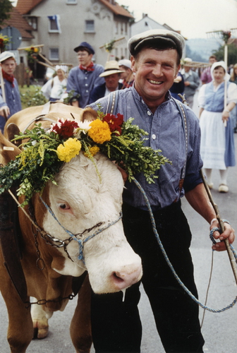 Bild:Bauer mit Kuh